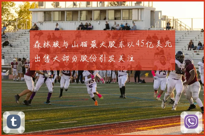 森林狼与山猫最大股东以45亿美元出售大部分股份引发关注