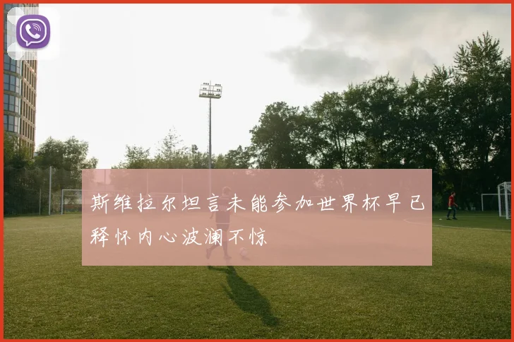 斯维拉尔坦言未能参加世界杯早已释怀内心波澜不惊