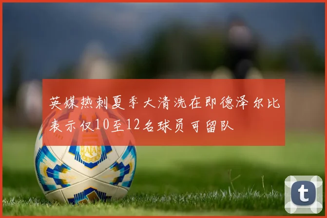 英媒热刺夏季大清洗在即德泽尔比表示仅10至12名球员可留队
